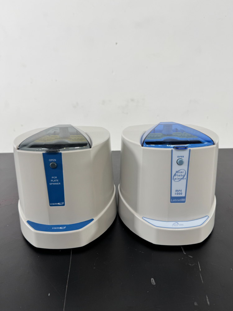 Image of Mini Plate Spinners - Quantity 2